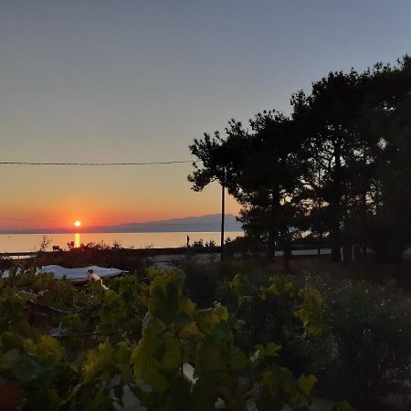 Το Σπίτι Με Το Πηγάδι - Wellcottage Thassos Скала-Каллірахіс Екстер'єр фото