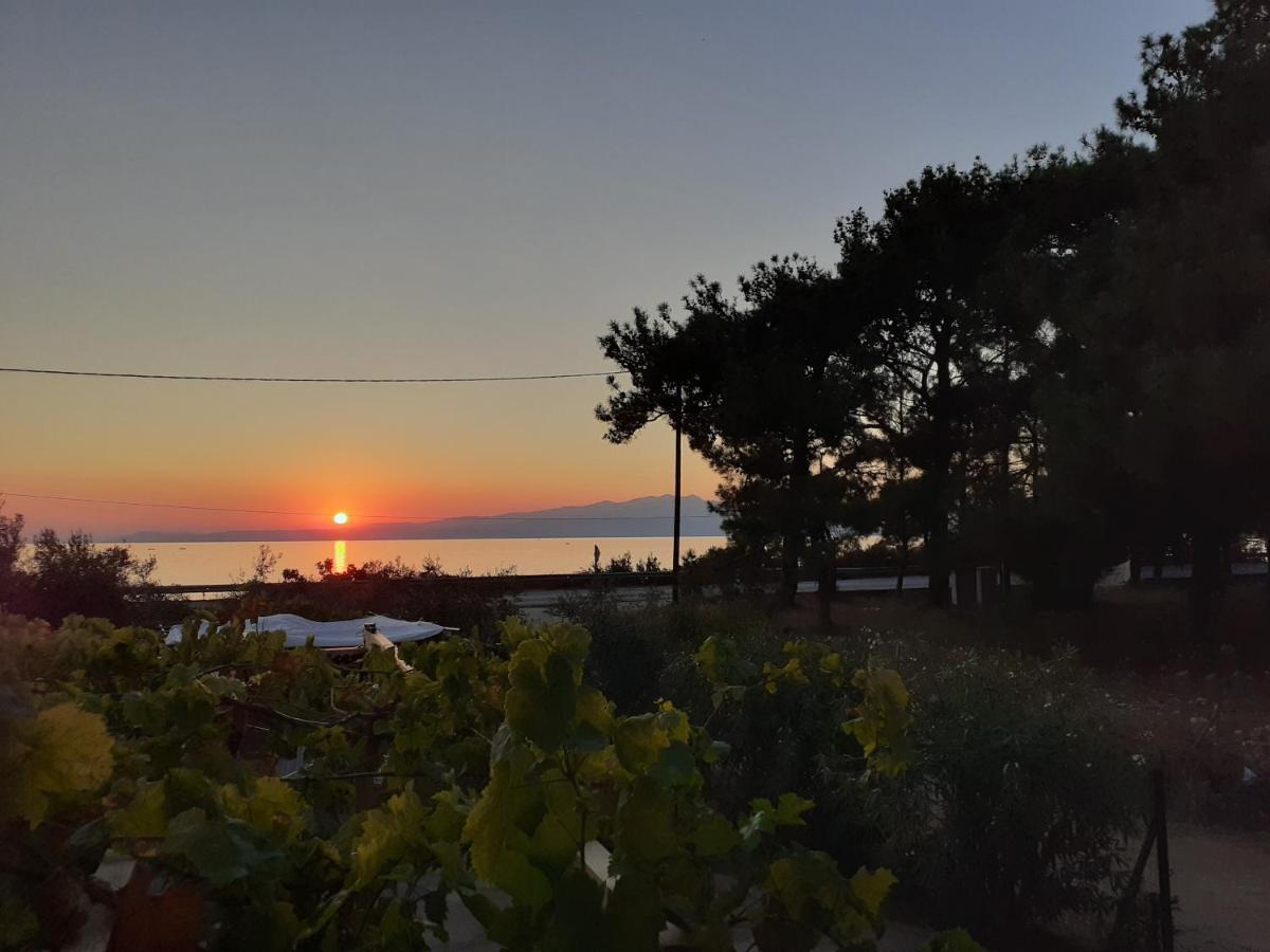 Το Σπίτι Με Το Πηγάδι - Wellcottage Thassos Скала-Каллірахіс Екстер'єр фото
