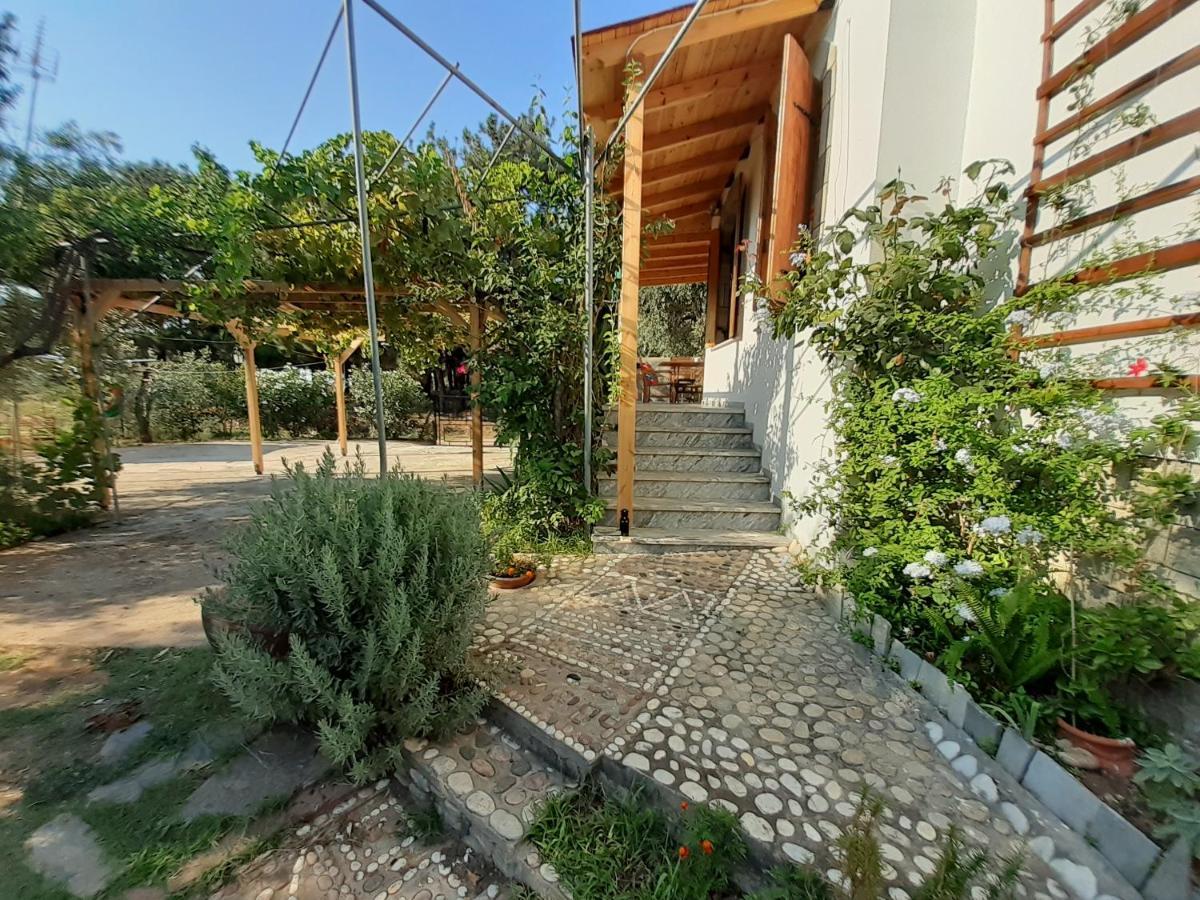Το Σπίτι Με Το Πηγάδι - Wellcottage Thassos Скала-Каллірахіс Екстер'єр фото