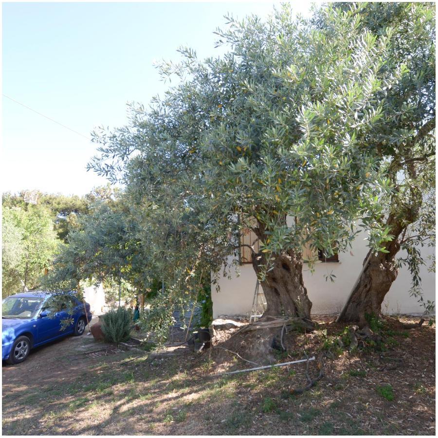 Το Σπίτι Με Το Πηγάδι - Wellcottage Thassos Скала-Каллірахіс Екстер'єр фото